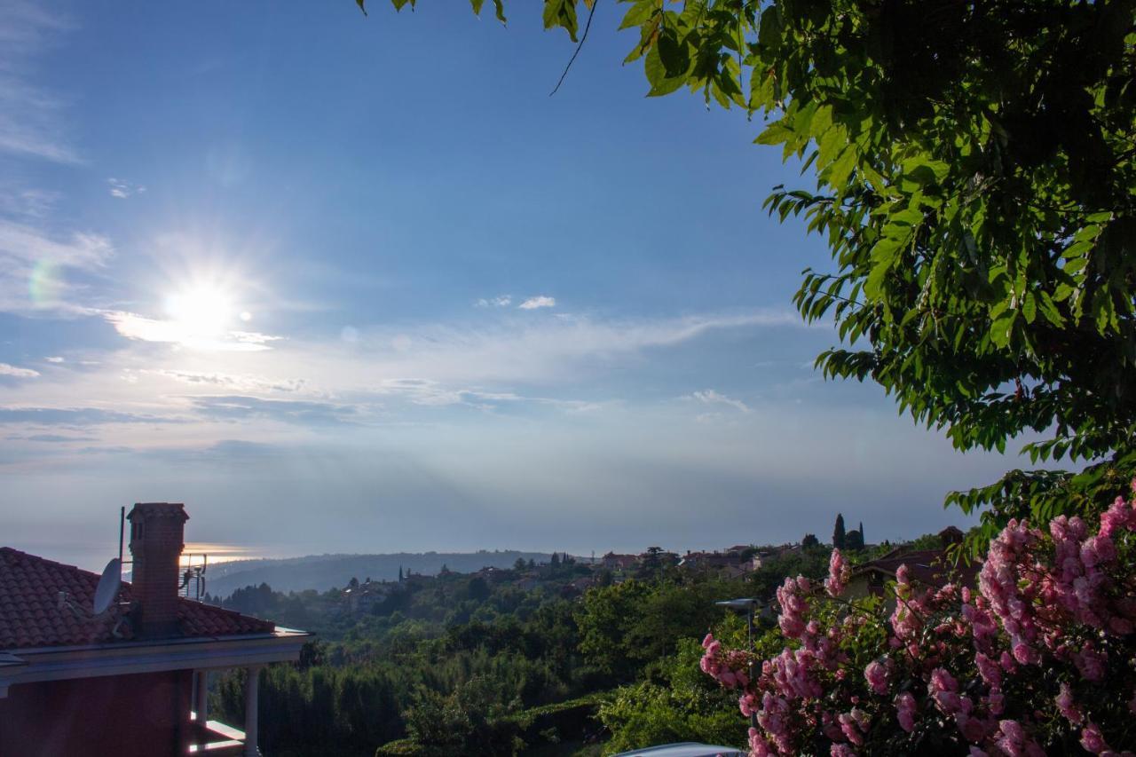 イゾラSeaview Heights Above Portorozアパートメント エクステリア 写真